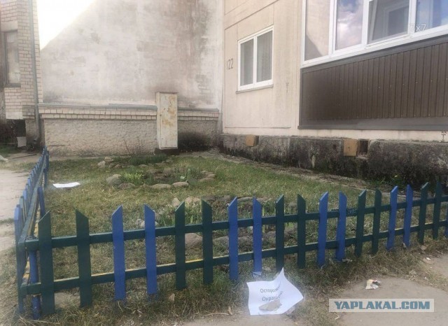 В Пскове местные жители вызвали полицию из-за желто-синего штакетника
