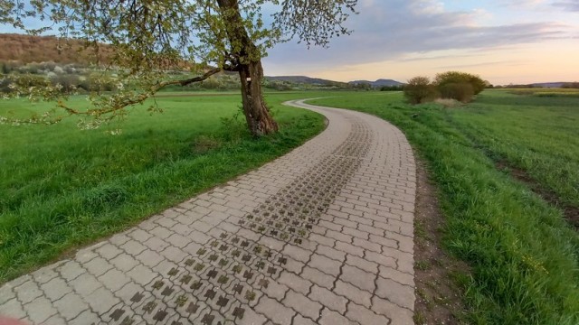 Полевая дорога. Северная Бавария