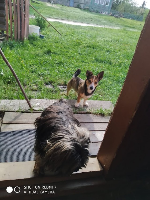 Вот моя деревня-1