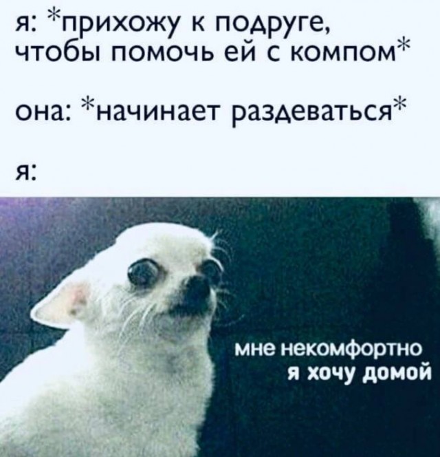 Немного мемчиков. Для взрослых. Часть 18