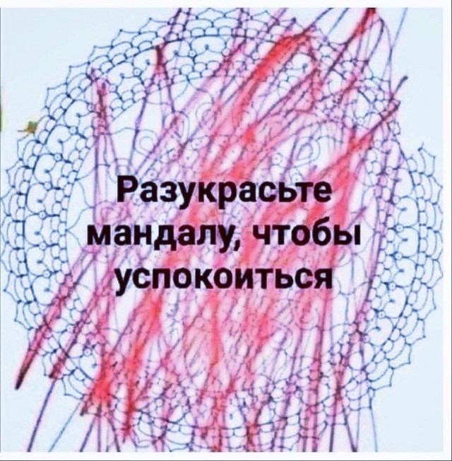 Отвлечься от дичи в жизни. Дичь в картинках - 2