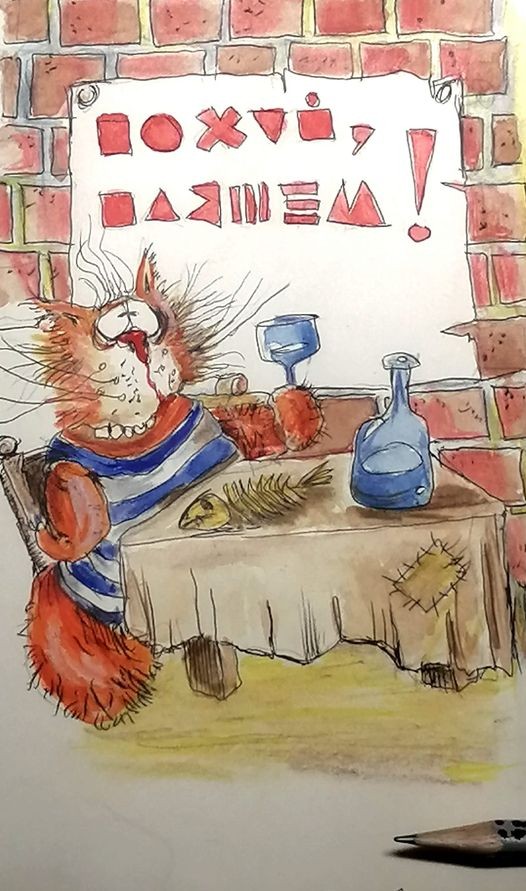 Кот этого вторника