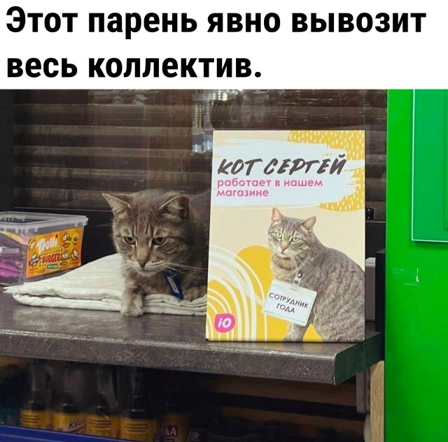 Так себе картинки 07.12.22