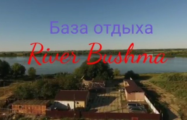 Под пиво