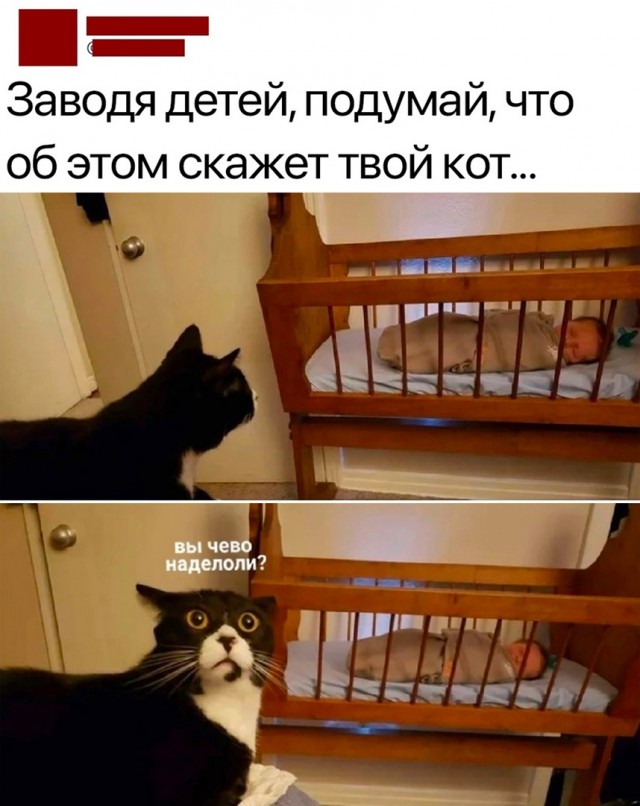 Так себе картинки 14.01.23