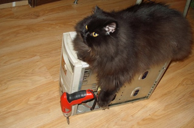 Наглость - второе счастье