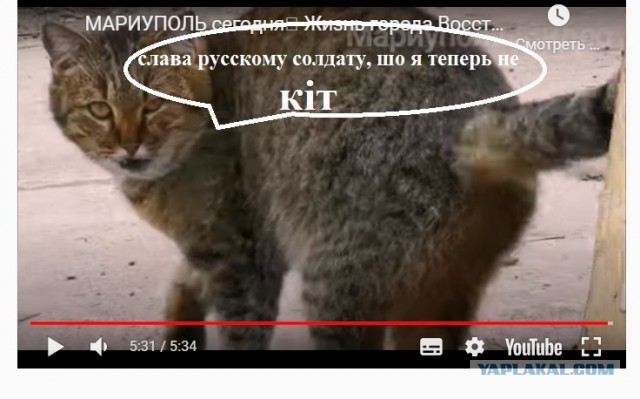 Мариуполь сегодня Жизнь города Восстановление