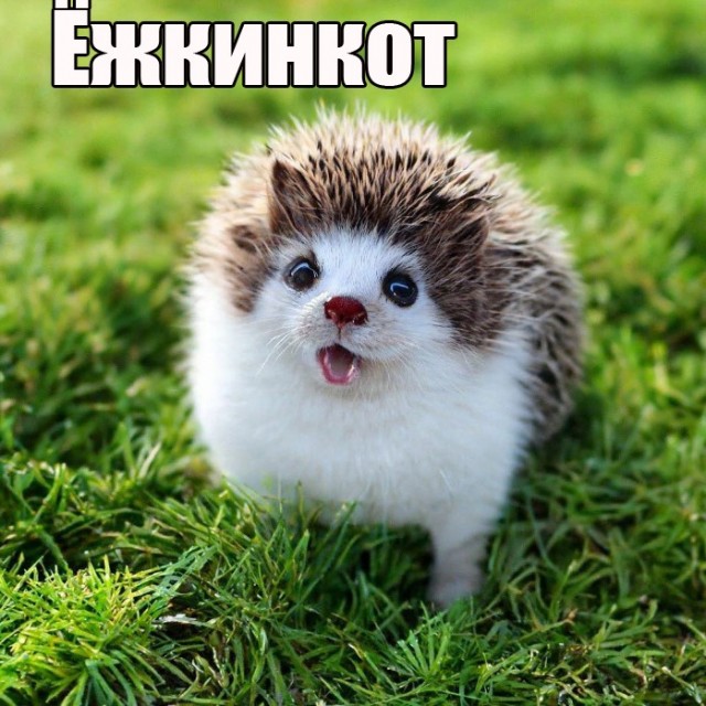 Так себе картинки 11.04.23