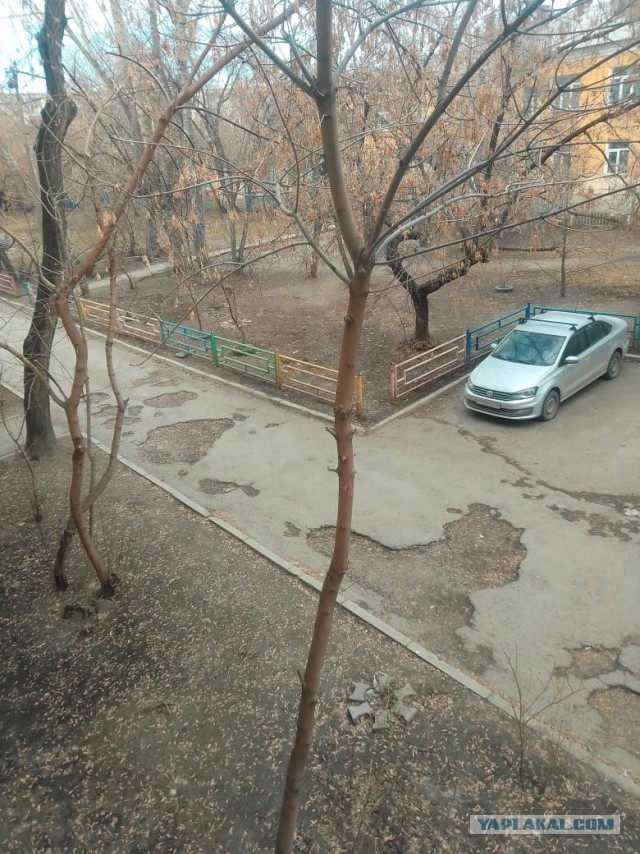 Арнольду Шварценеггеру, как любителю покататься на велике, пришлось заняться ямочным ремонтом