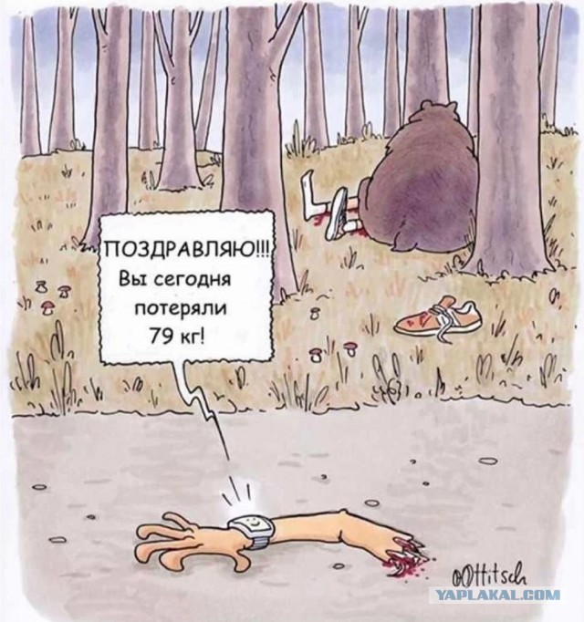 Рандомные анекдоты про медведя