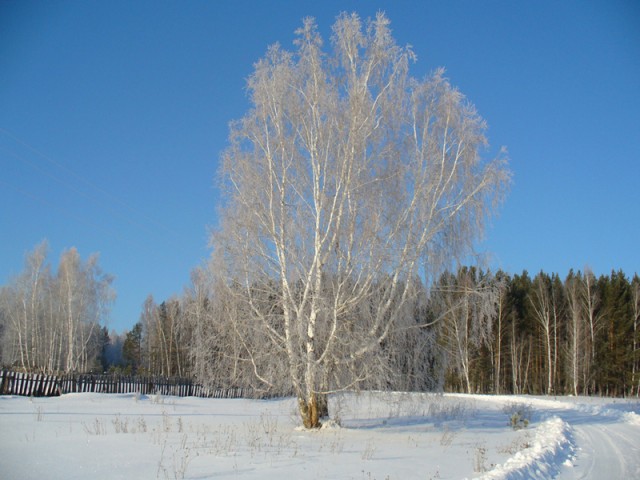 Русская зима (10 фот)