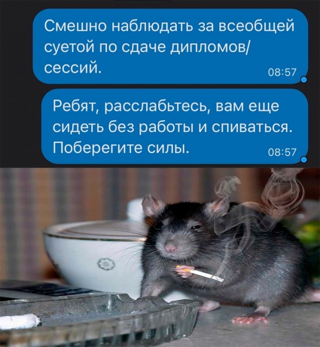 Весёлый полтишок 21.05.23