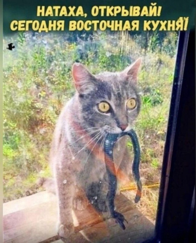 Так себе картинки 28.07.23