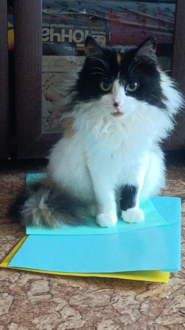 Тоже ВДВшник