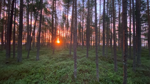 16 искусно сделанных фото от любителей, которые доказали, что шедевры получаются не только у профессионалов