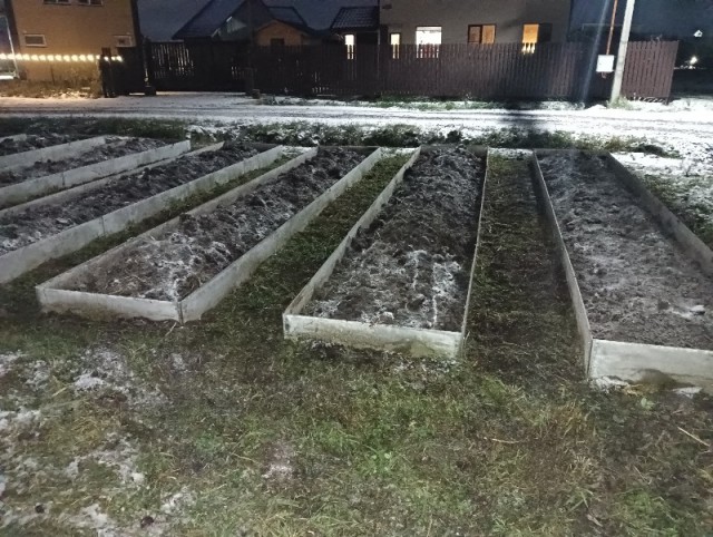 Конкурс страшных рассказов на ЯП к 31 октября. Кровь, кишки, ужасы!