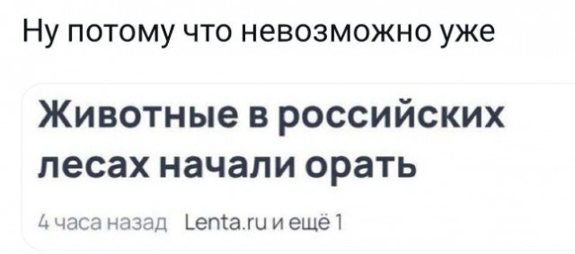 Всего понемногу. От 28.11.23