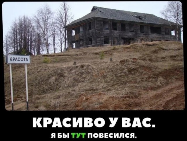 Так себе картинки 04.12.23