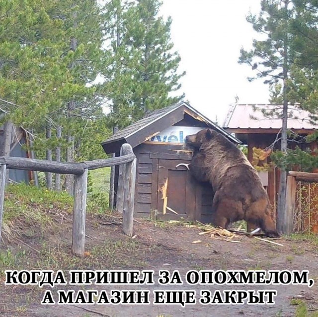 Немного картинок и прочей хреноты Vol. 28