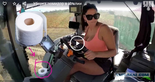 Уборка помидор из Италии