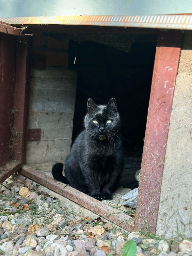 Красивые мужчины ЯПа