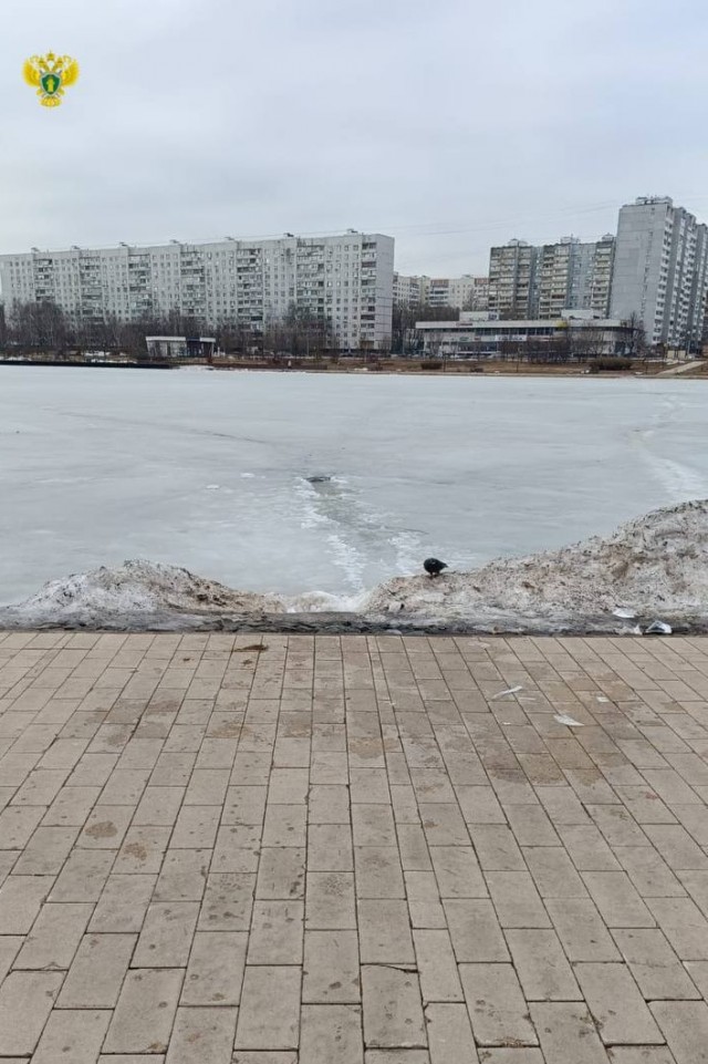 Женщина вышла на лед Гольяновского пруда