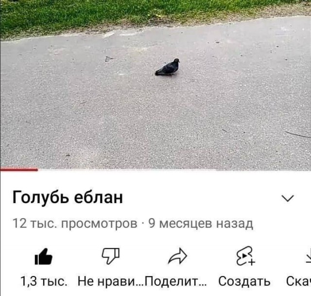 Претензий нет, сомнений тоже