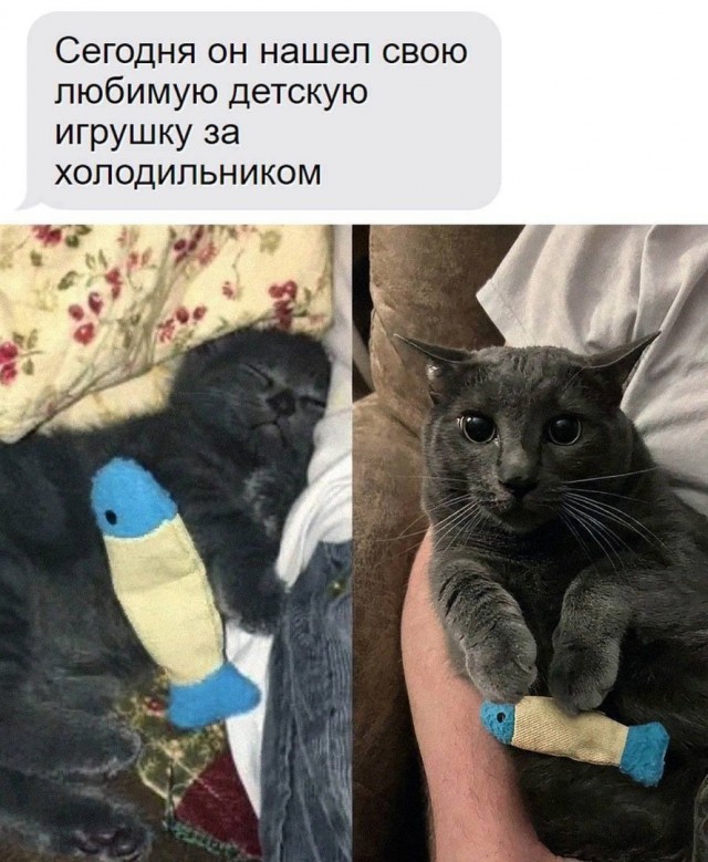 Так себе картинки 19.05.24