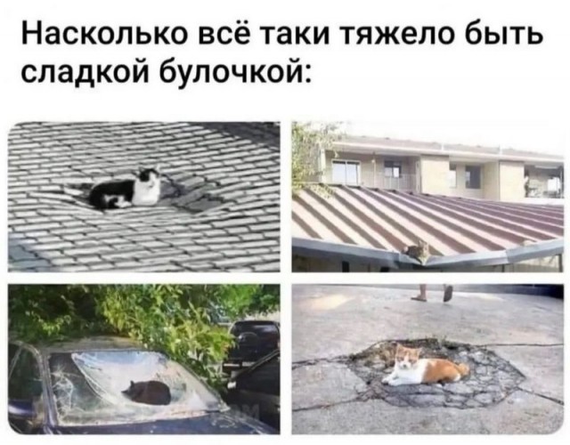 Постыдные скрины перлов с сайтов знакомств