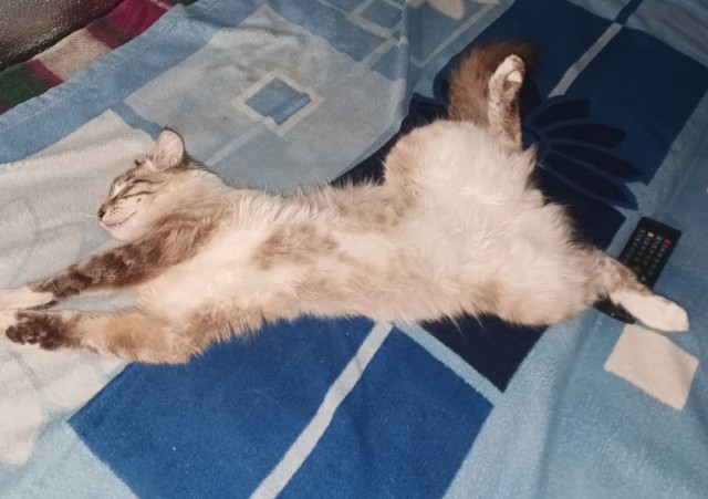 Злые вы все....