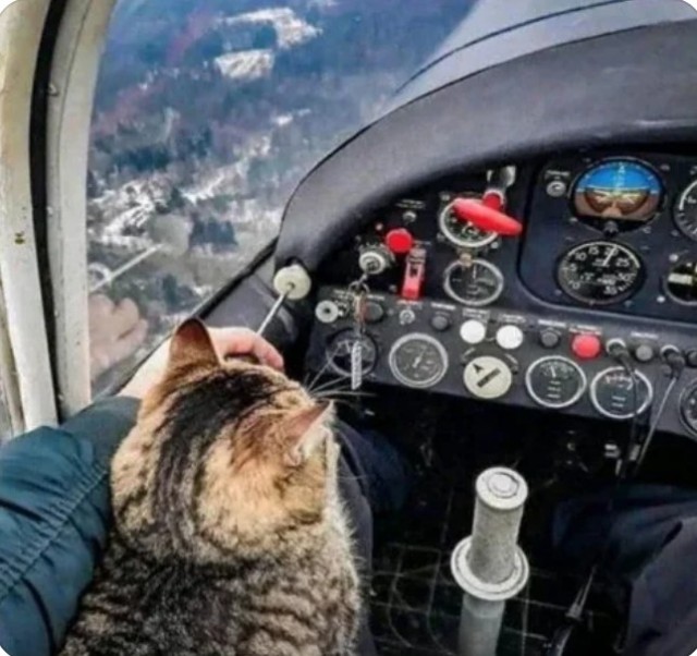 Я сверху вижу всё!