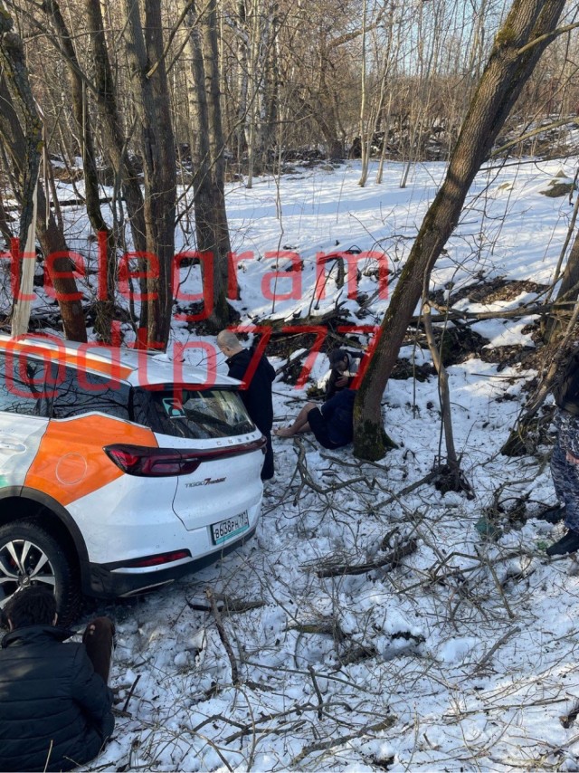 Зверьки в дикой природе оказались