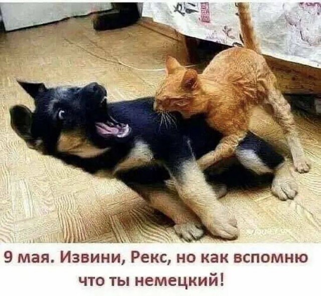 Так себе картинки 22.05.25