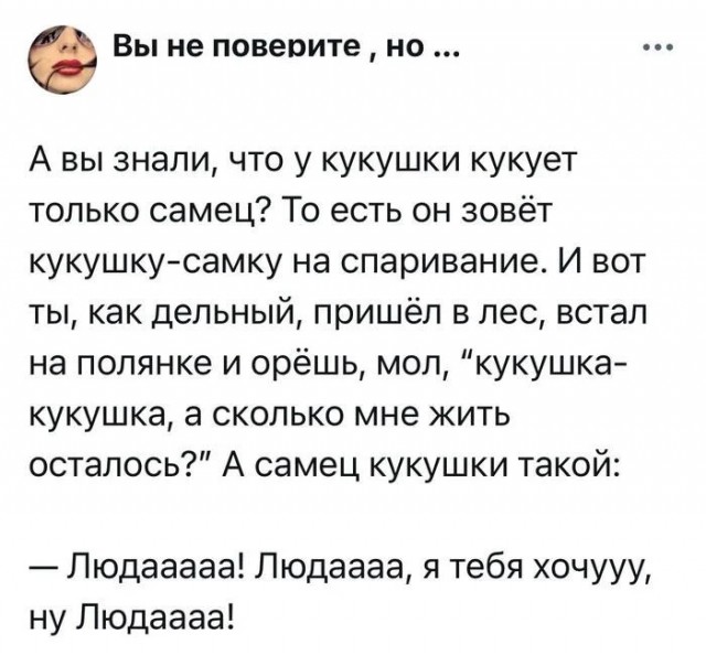 Когда продолжительность твоей жизни зависит от степени развращенности кукушки