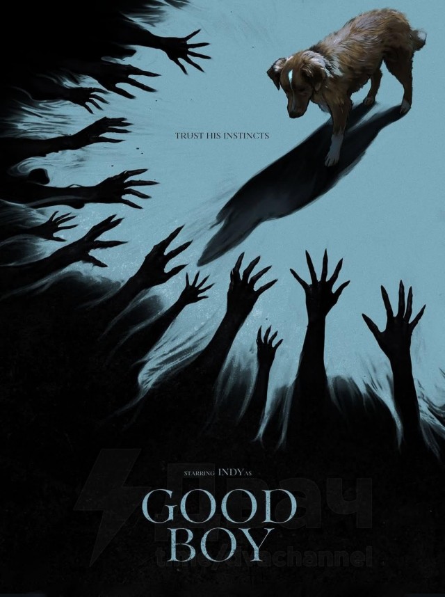 Трейлер ужастика "Хороший мальчик"