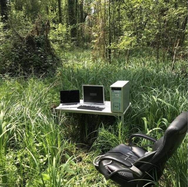 Нуштош 27.08.2025. Когнитивный декаданс (s4e8)