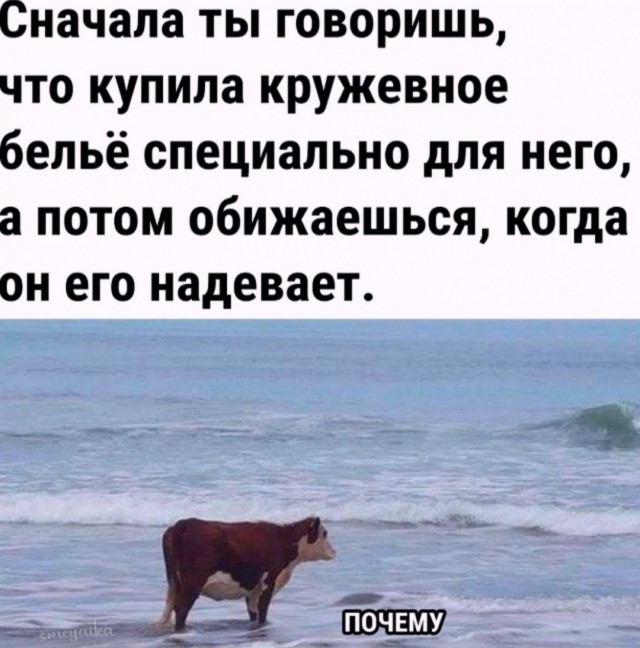 Веселое настроение в картинках (01.10.2025)