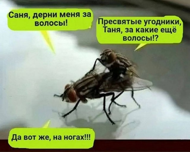 Картинки для деградации 67 (разной степени свежести)