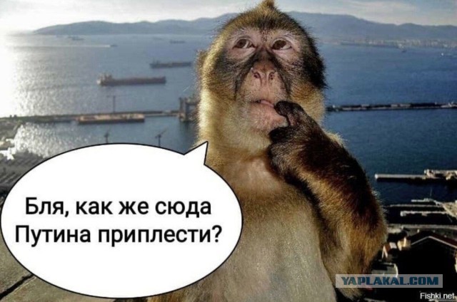 На английских сайтах последнее видео сопровождается надписью: "Импортируй третий мир, - станешь третьим миром".