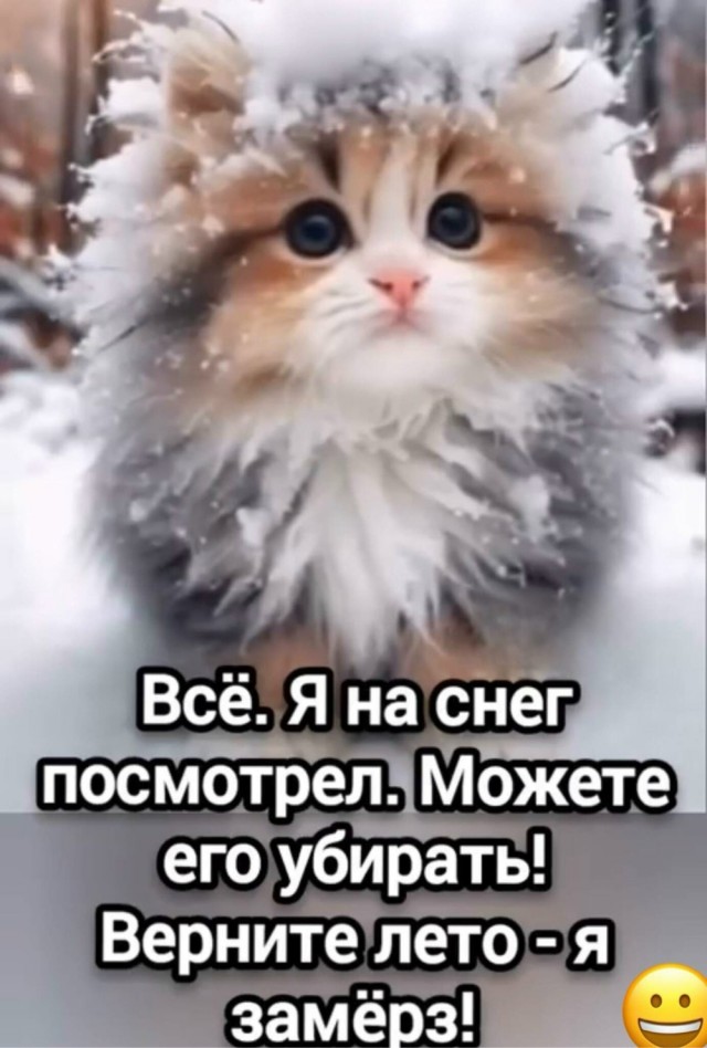 Среды картинки
