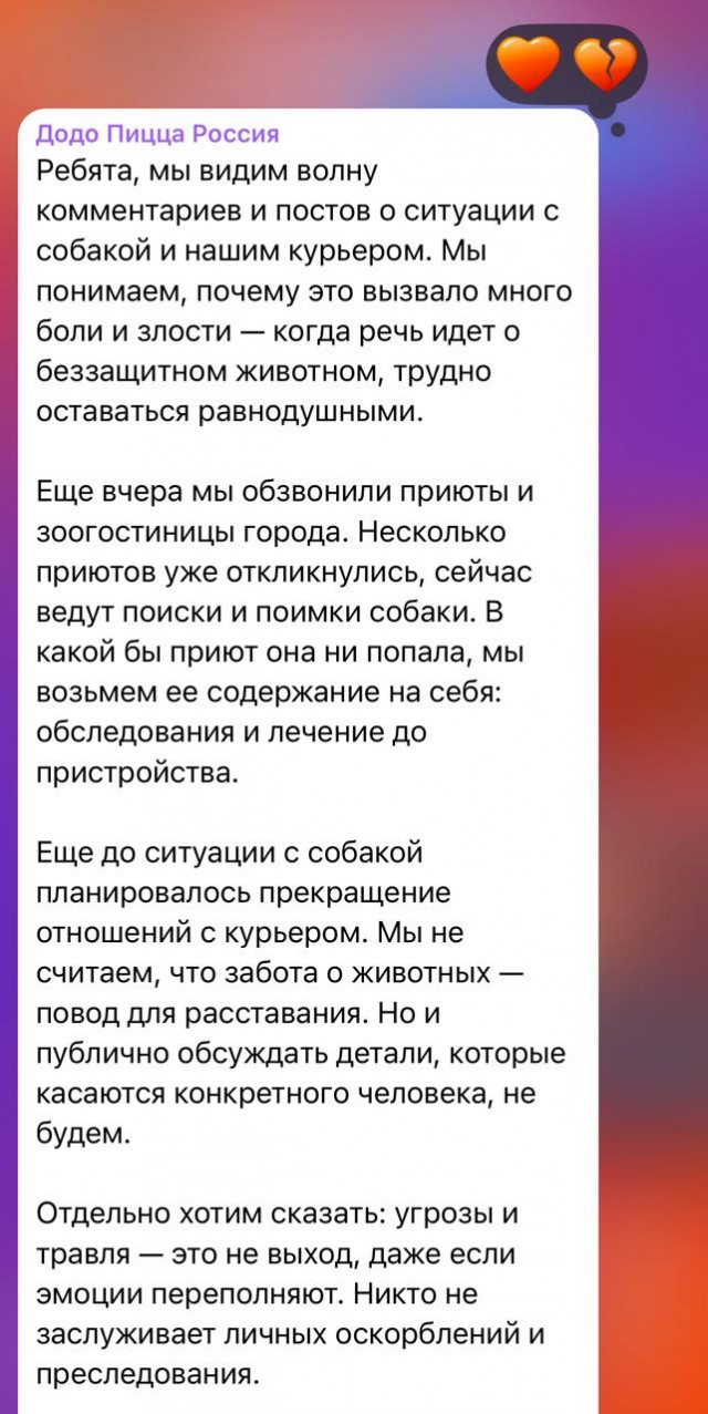 «Кто укроет собаку — пойдёт за собакой»