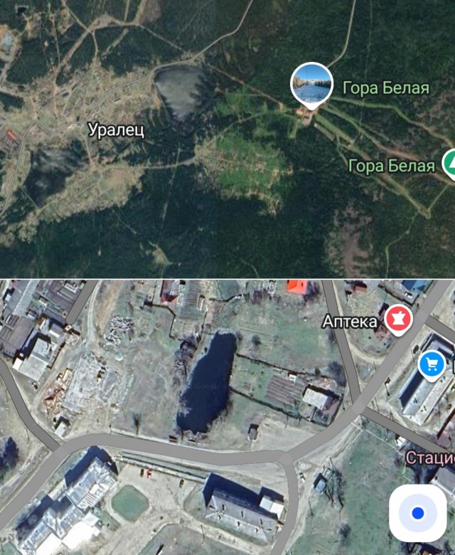 Лесовоз на просеке