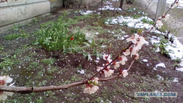 39 необычных фотографий, которые должны вам понравиться