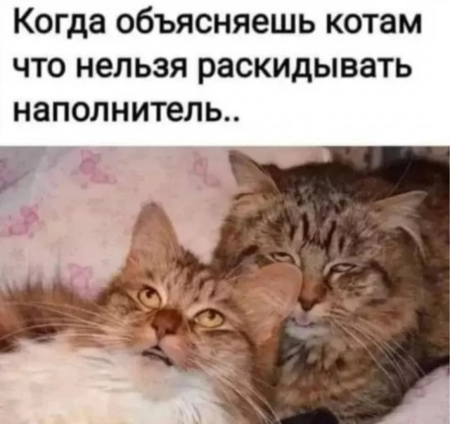Деградация