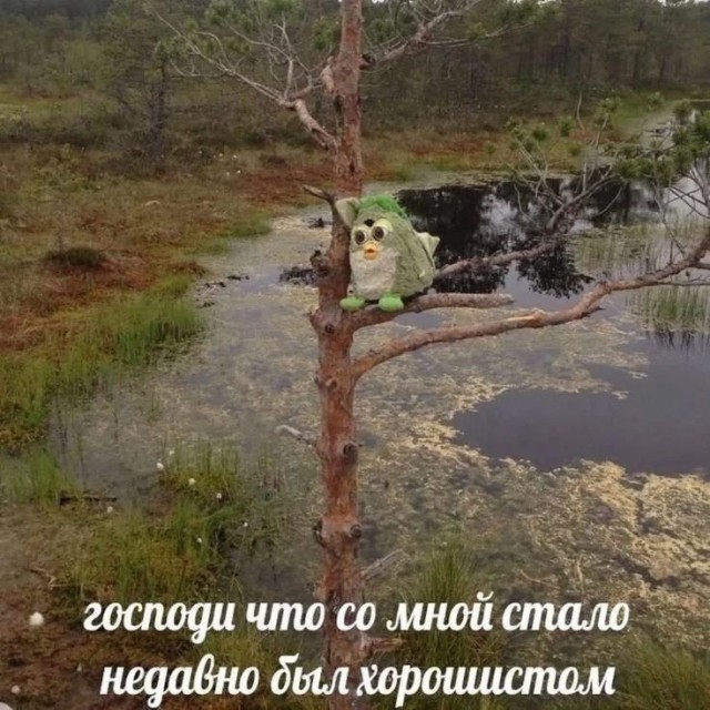 Среды картинки