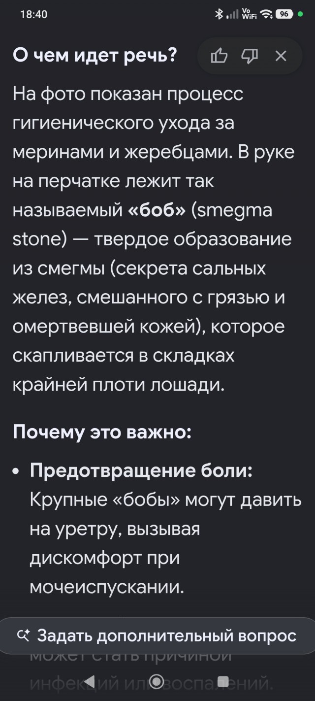 Гигиена для боевого коня. Яповцам (45) на заметку.