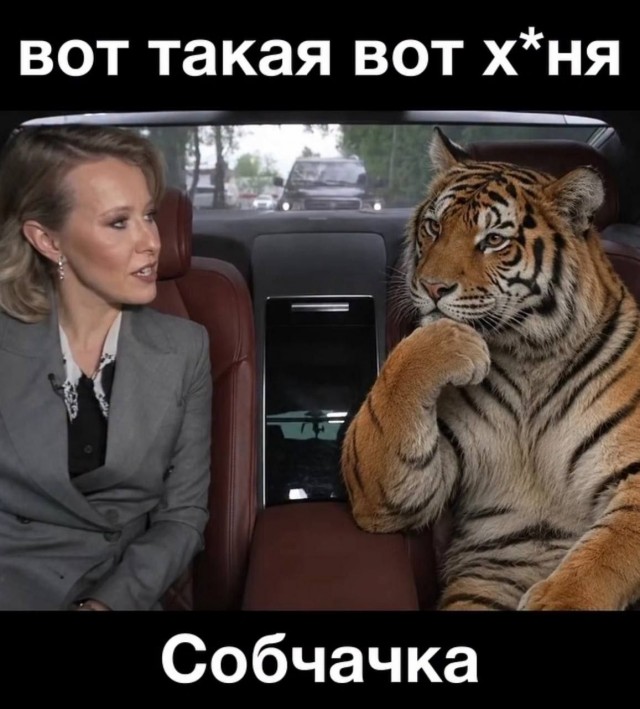 Картинки для деградации 265 (разной степени свежести)