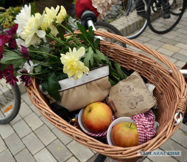 Киевский «Tweed Run» 2013