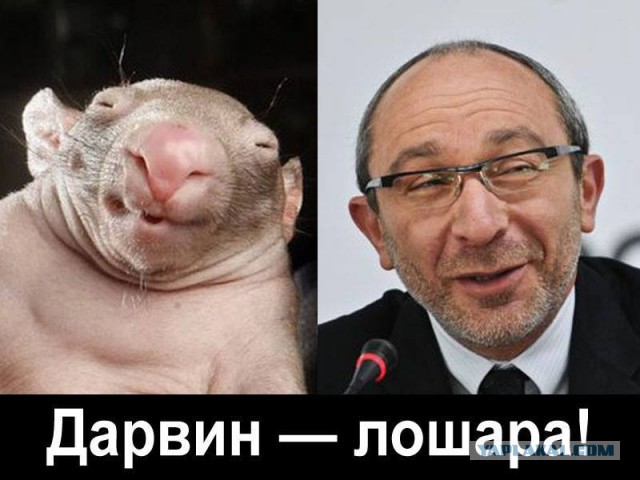 Оккупанты отбирают детей в Крыму!