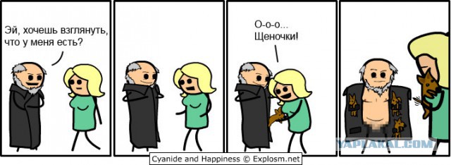 Когда вы плюсуeтe тему в платине